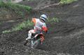 img_8895_18_1.jpg