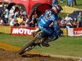 dimg_0275.jpg